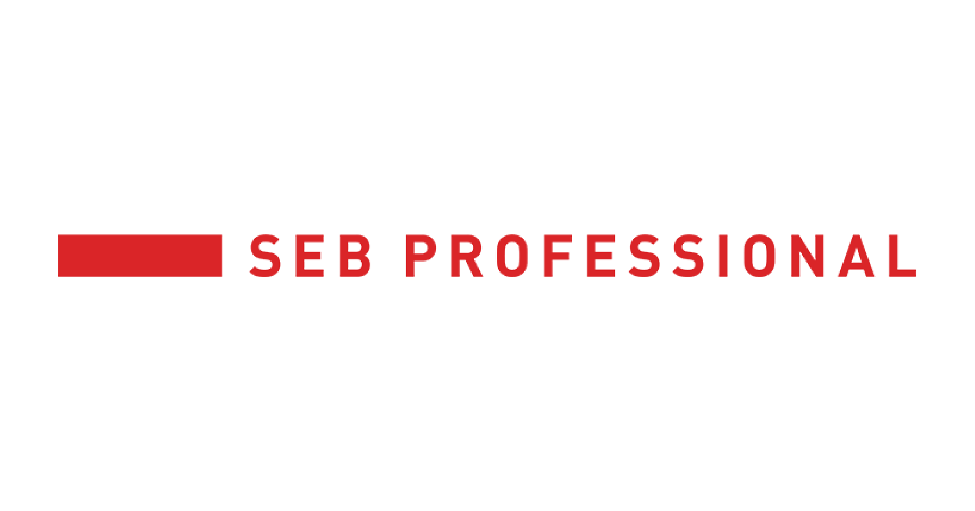 Seb-professional_LOGO2