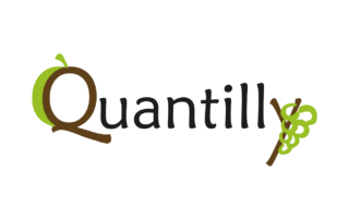 Quantilly-logo