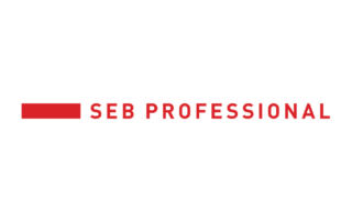Seb-professional-logo